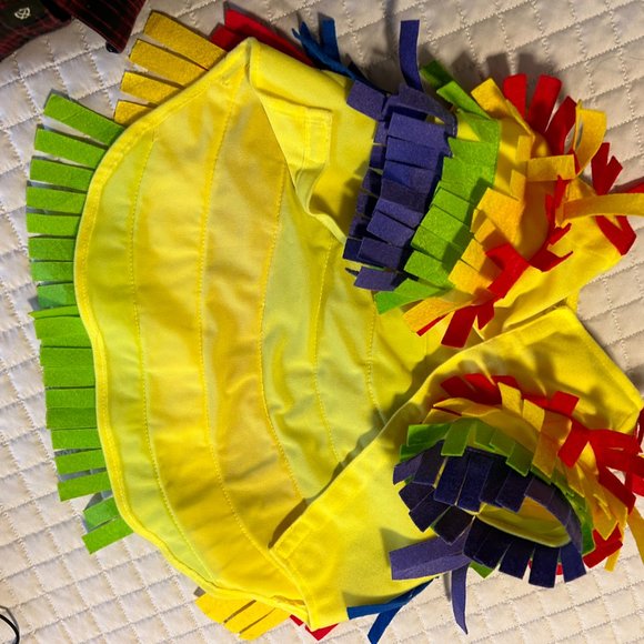 Pinata Pet's costume - Picture 2 of 3